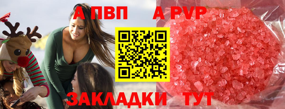 Альфа ПВП СК Ярославль