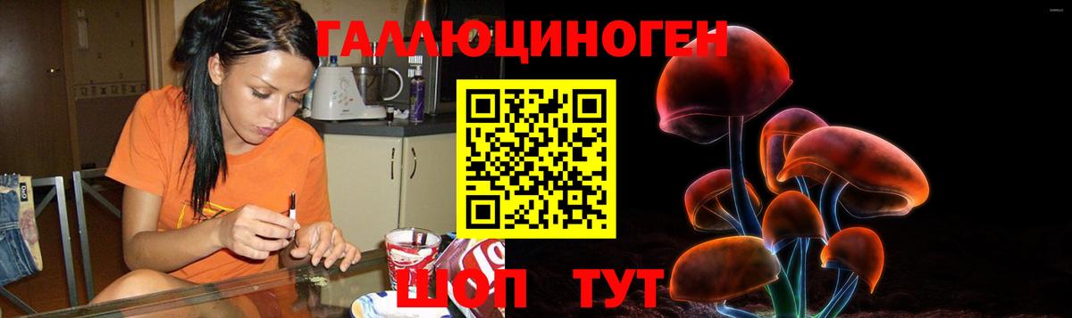 Псилоцибиновые грибы GOLDEN TEACHER  Галлюциногенные грибы Psilocybine cubensis  Вход с VPN  сколько стоит  Ярославль 